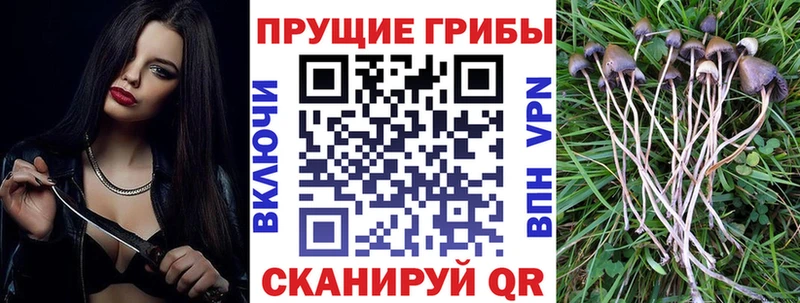 Галлюциногенные грибы мицелий  Купить  Харабали 